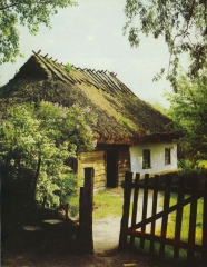 Хата з Переяславщини, НІЕЗП