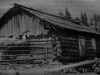 Іл.20. СТАЯ. Полонина Темнатик