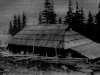 Іл.38. СТАЯ З ХАТОЮ. Полонина Тарниця