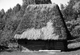 Хата 17–18 ст. з Закарпаття, НМНАПУ
