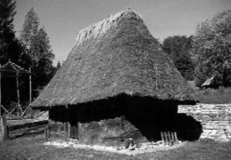 Хлів 17–18 ст. з Закарпаття, НМНАПУ