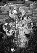 Хрест на церковному подвір'ї, НМНАПУ