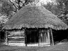 Клуня поч.20 ст. з Луганщини, НМНАПУ